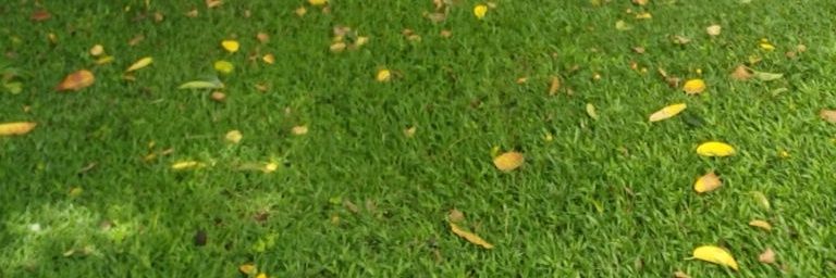 85tinz's profile banner image