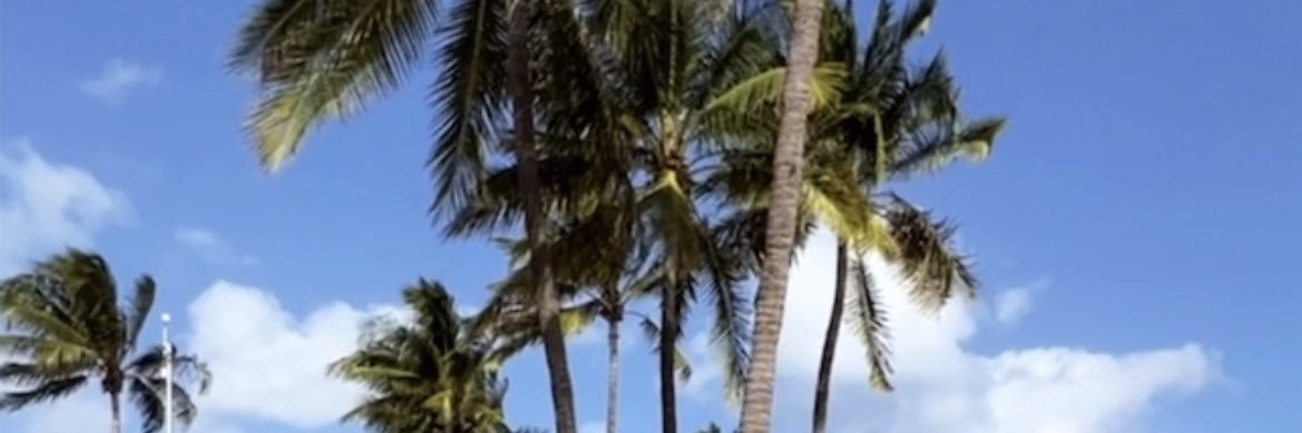 wizzy_juan's profile banner image