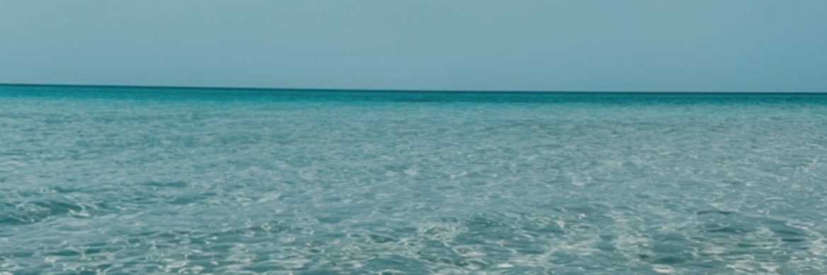 Josh Bass banner