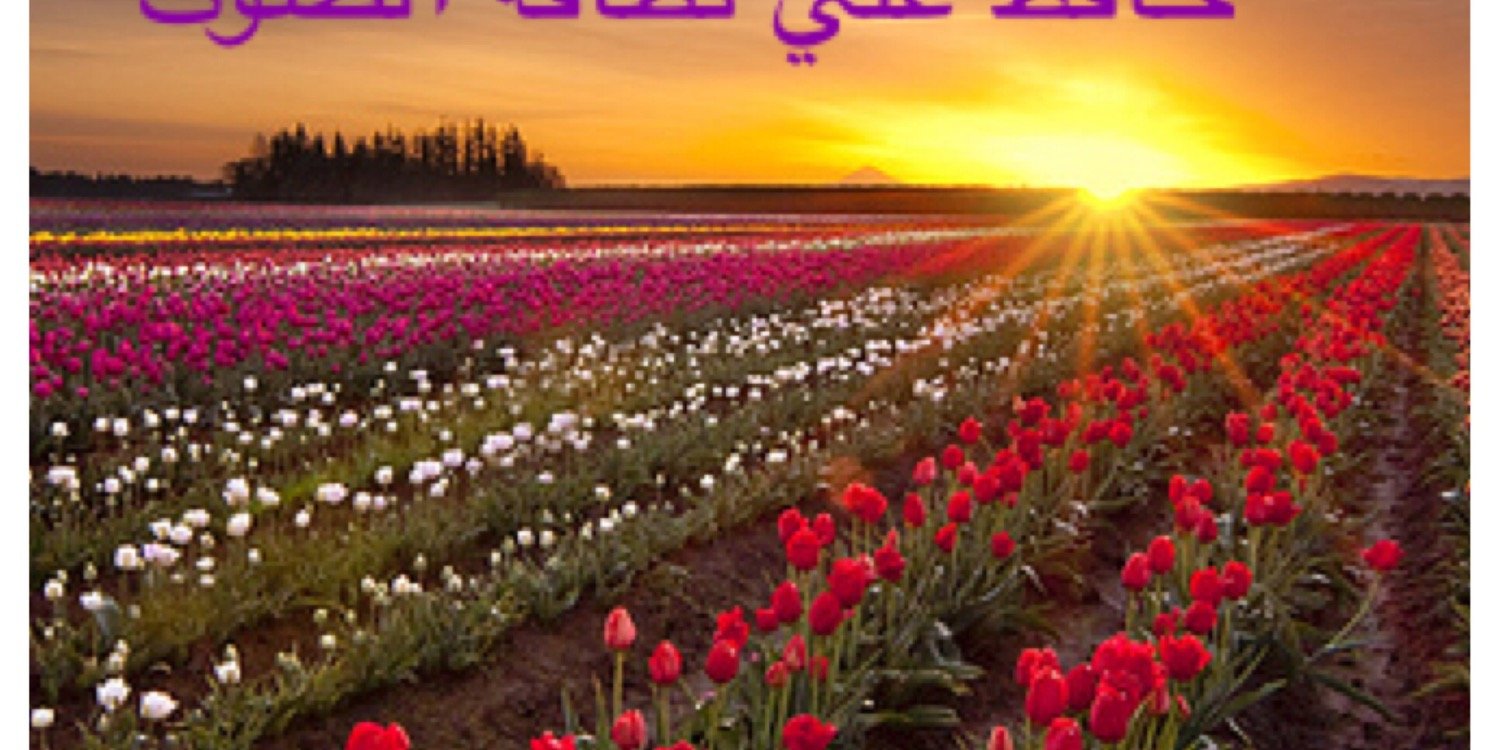 دكتوره منال بخاري banner