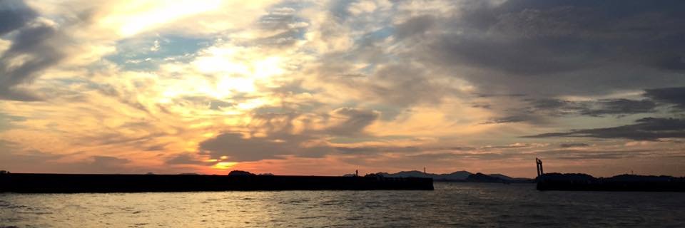 torii_han's profile banner image