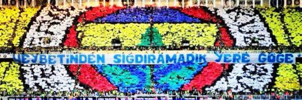 s_salihoglu's profile banner image