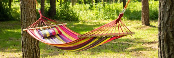 smithnoah Profile Banner