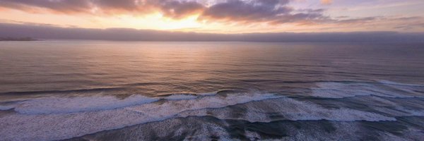 sixstringsensei Profile Banner