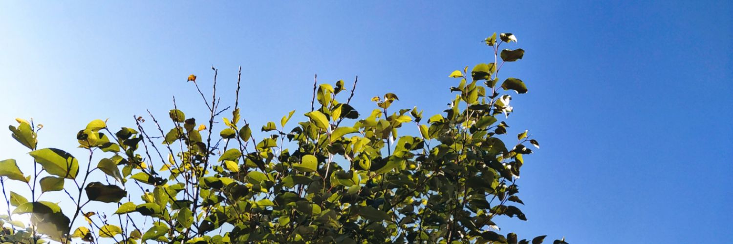 JkPayo's profile banner image