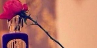 gororontha's profile banner image
