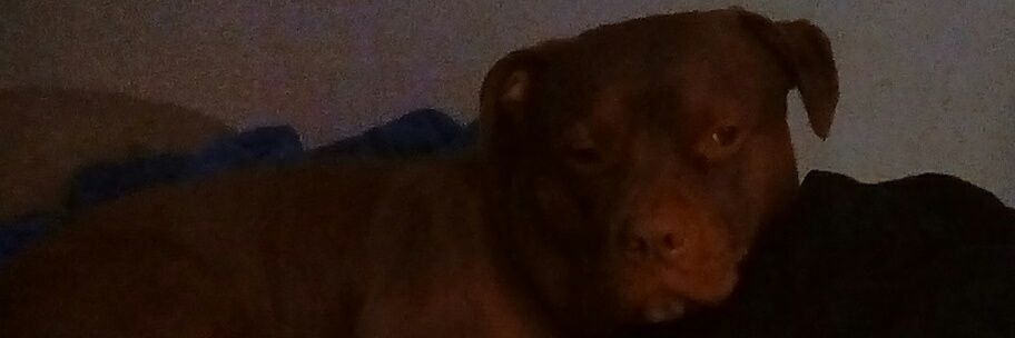 DeborahConner19's profile banner image