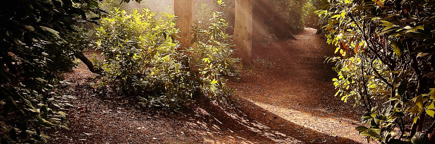 Becks and Charlie Brown banner