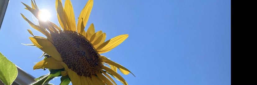 Mandy B. ☮️ banner