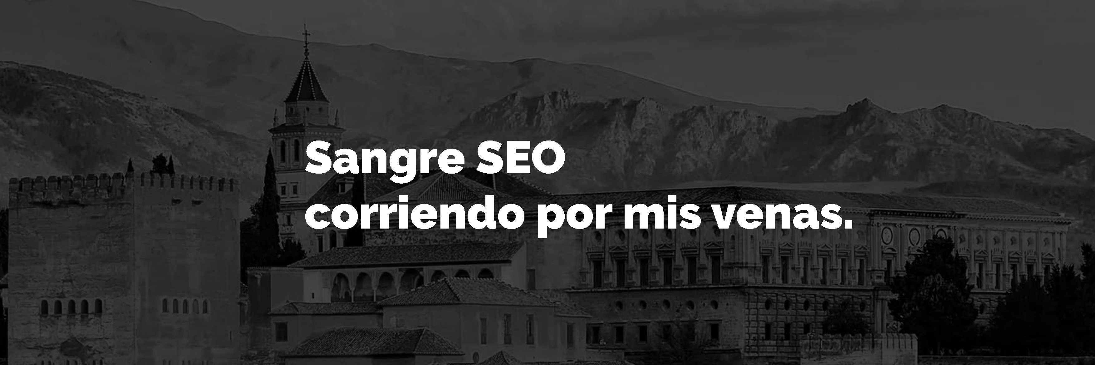 marcosdevicente's profile banner image