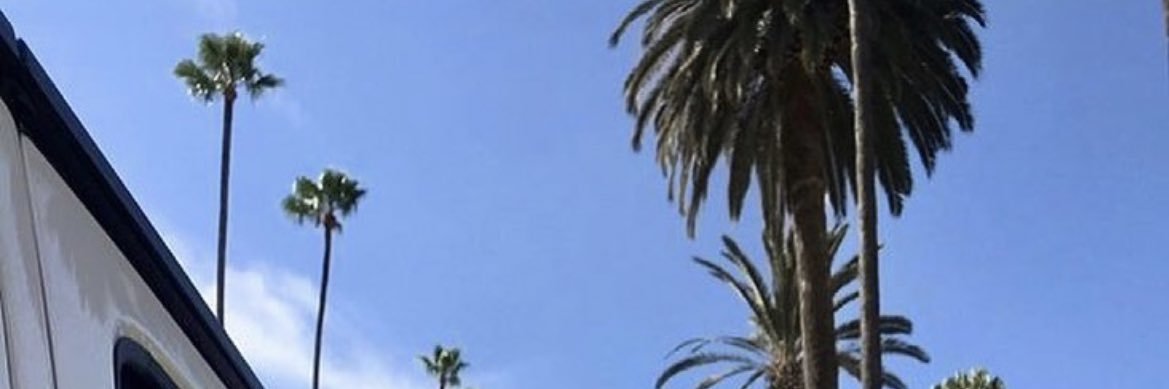 SH♈️ banner