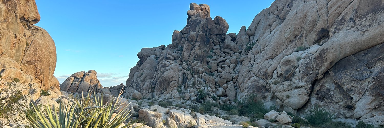 Jill Replogle banner