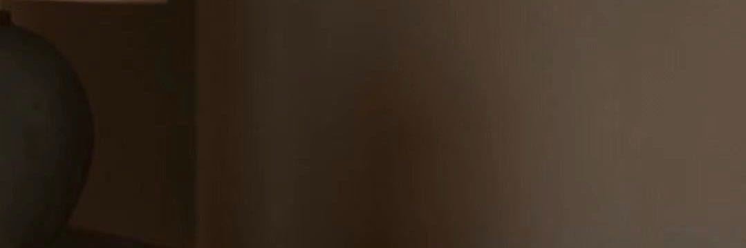 捧猫少女 banner