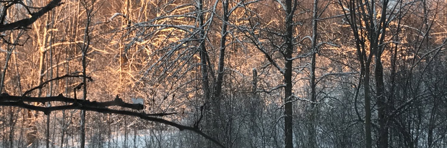 KotchkaL's profile banner image