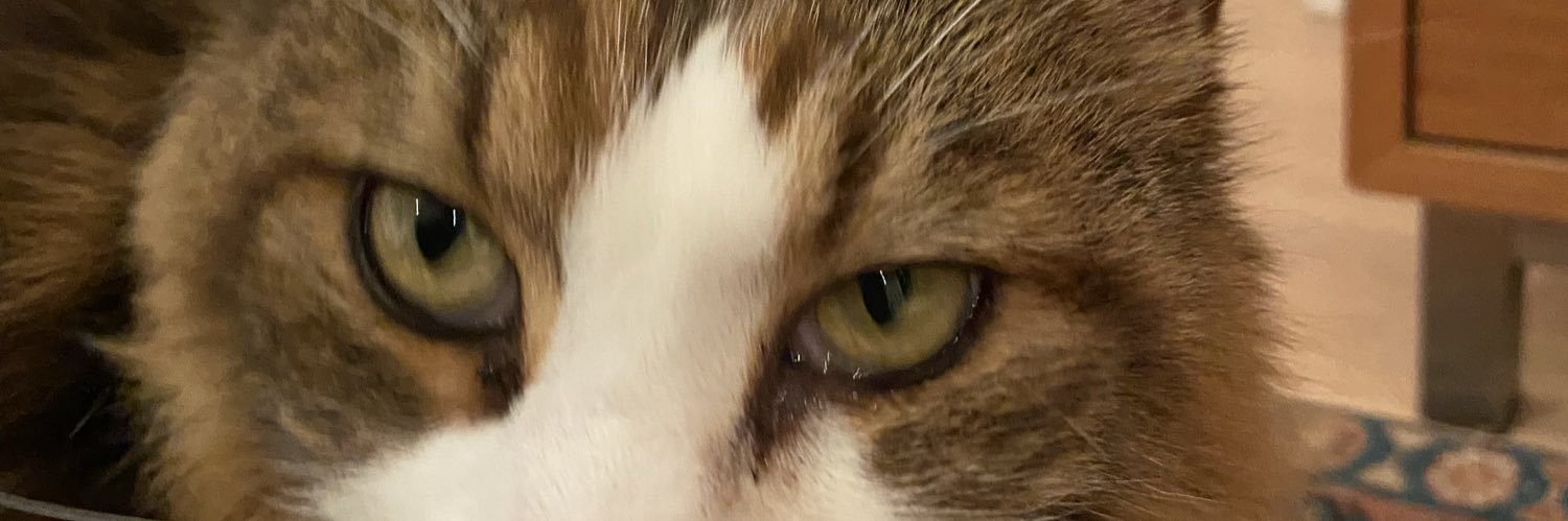 amaliaGRev's profile banner image
