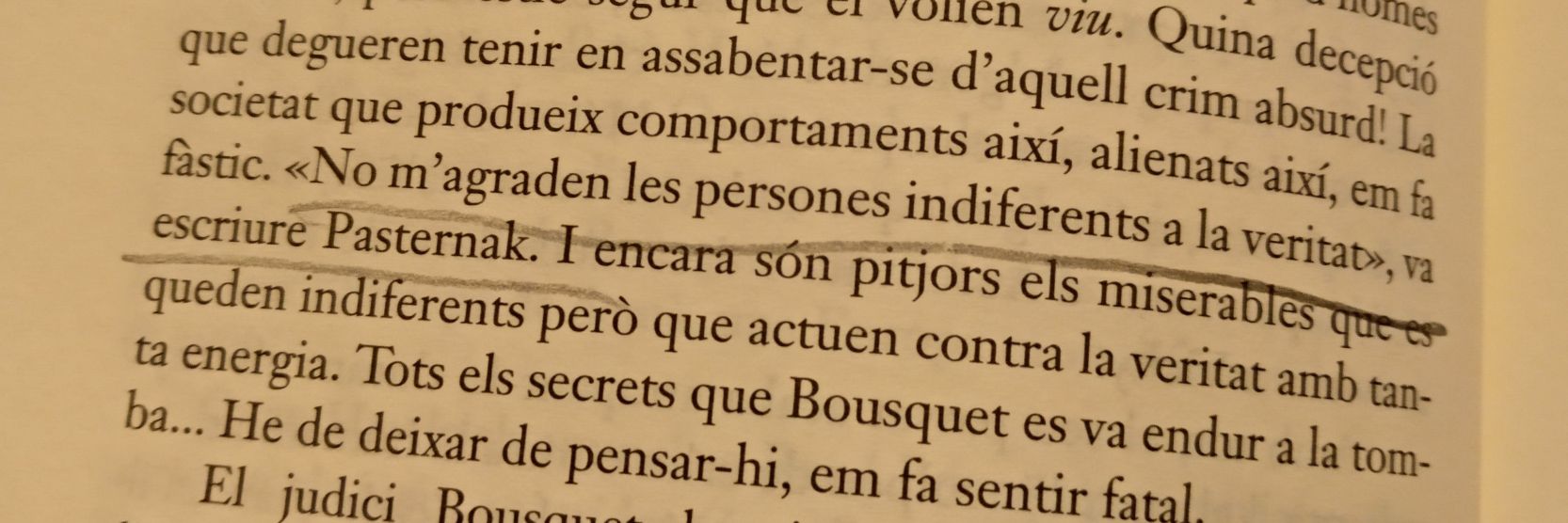 ferran campistol banner