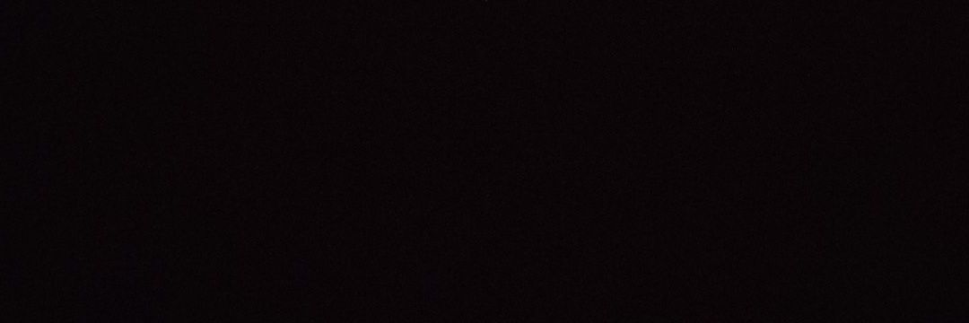 wildannnow's profile banner image