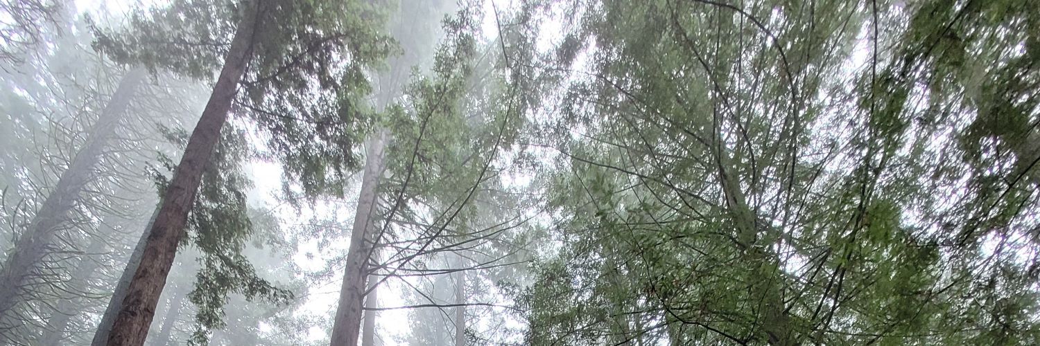 Ijustcant2020's profile banner image