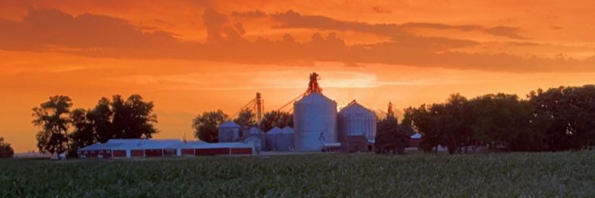 trentstevermer's profile banner image