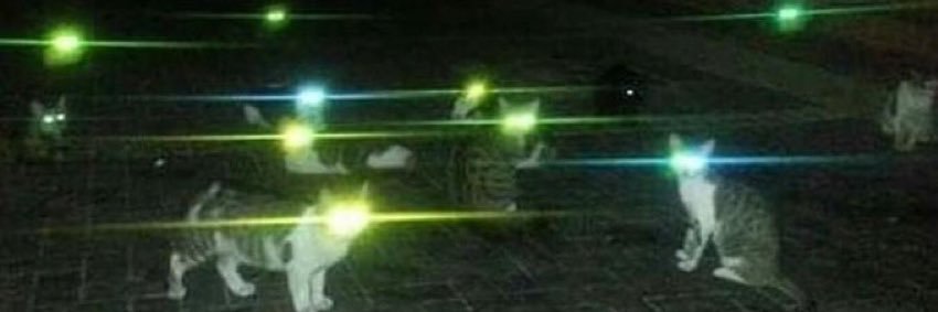 jaydedjewel's profile banner image