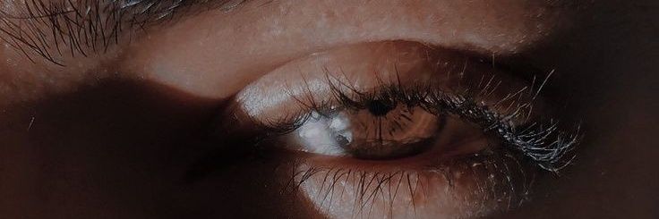 Flávio Siqueira banner