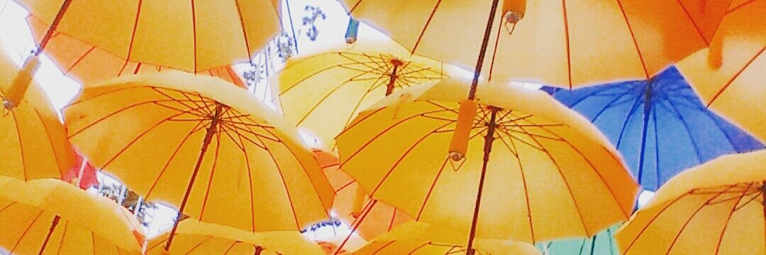 lime5613's profile banner image