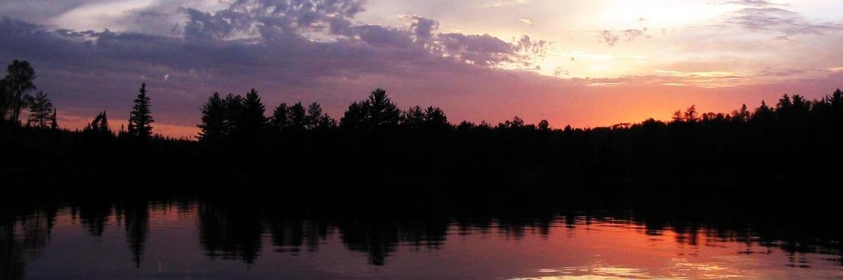 Patrick Lesner banner