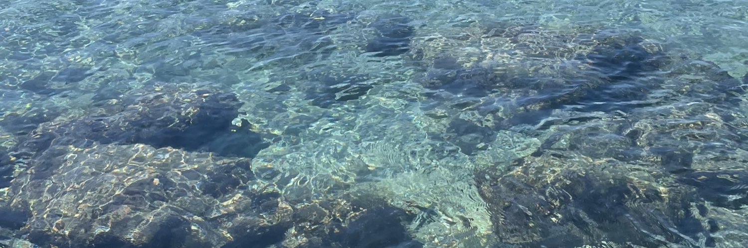 Marie_wld's profile banner image