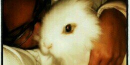 MariRubio15's profile banner image