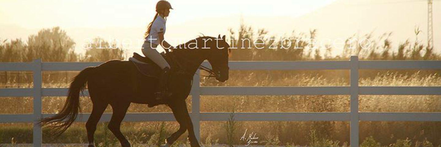 sofiaortega95's profile banner image