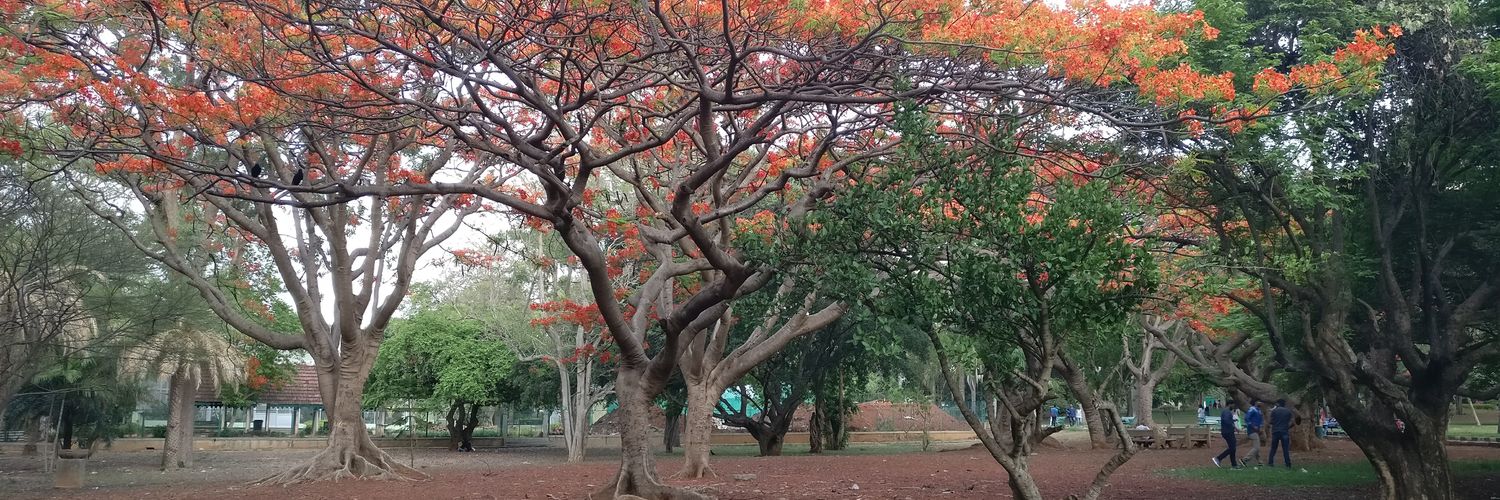 GovindKaveri's profile banner image