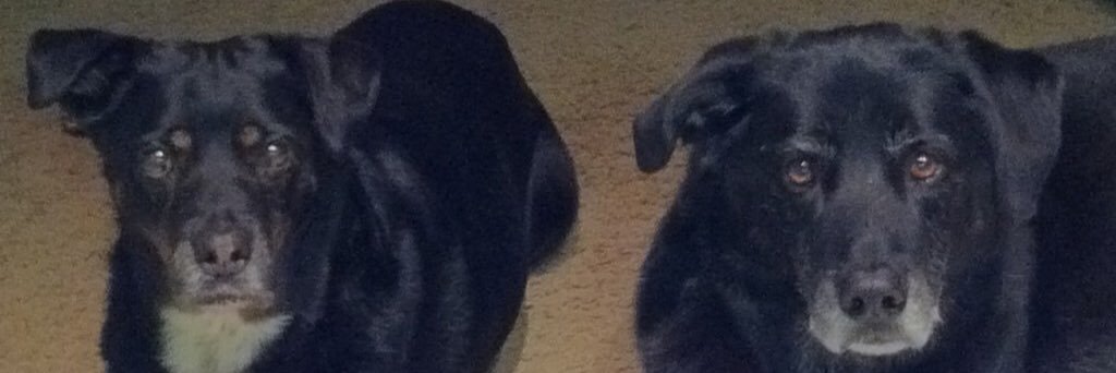 jeramo's profile banner image