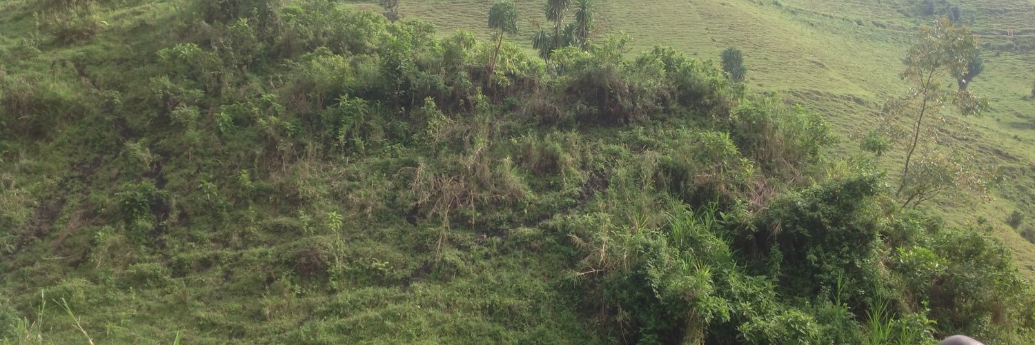 Olengaw's profile banner image