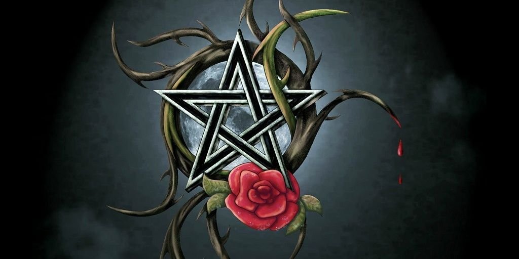 shandy_15's profile banner image