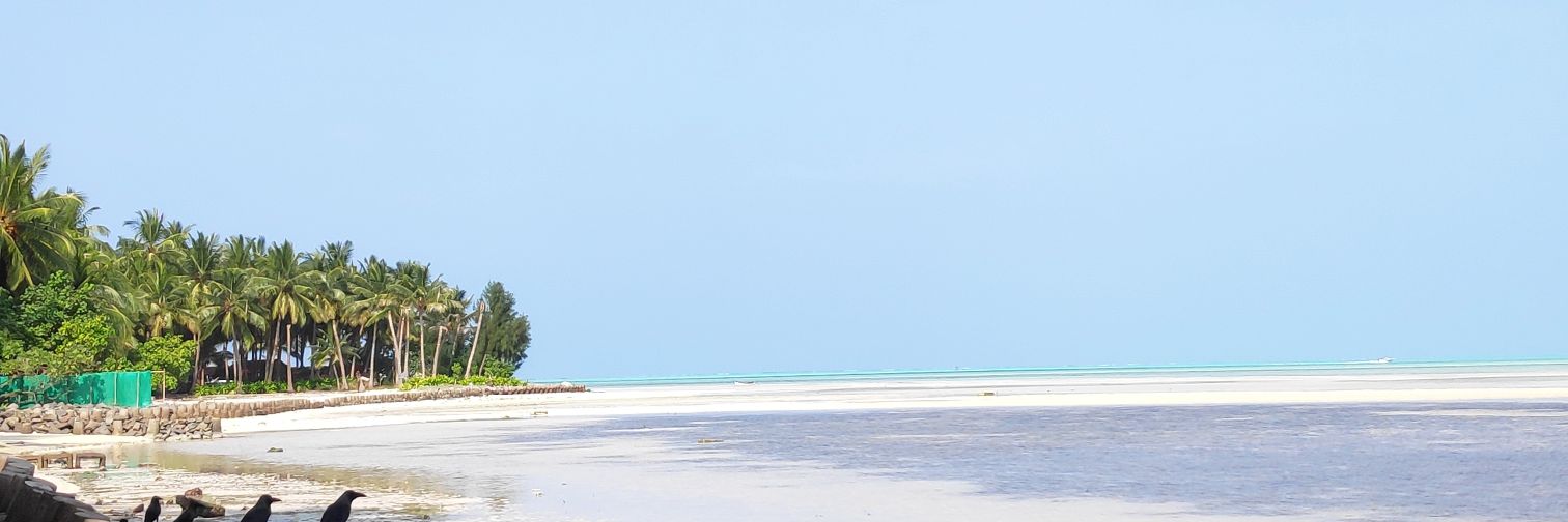 danedevambadan's profile banner image