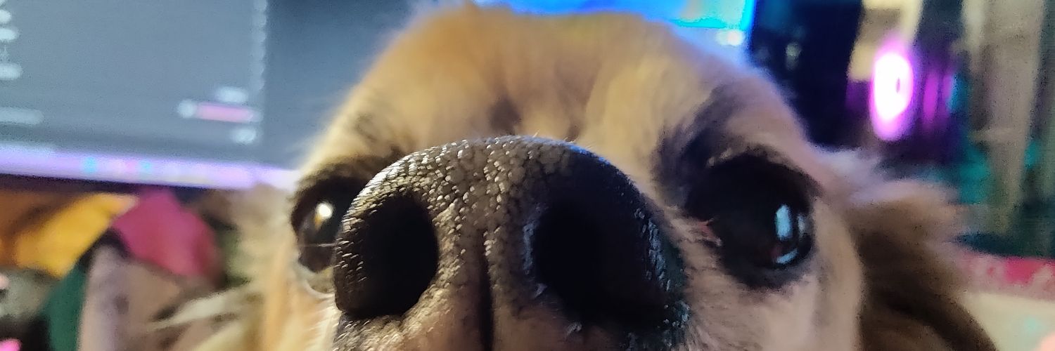 Dazey_AF's profile banner image