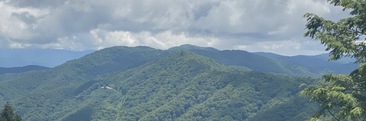 caileybruce's profile banner image