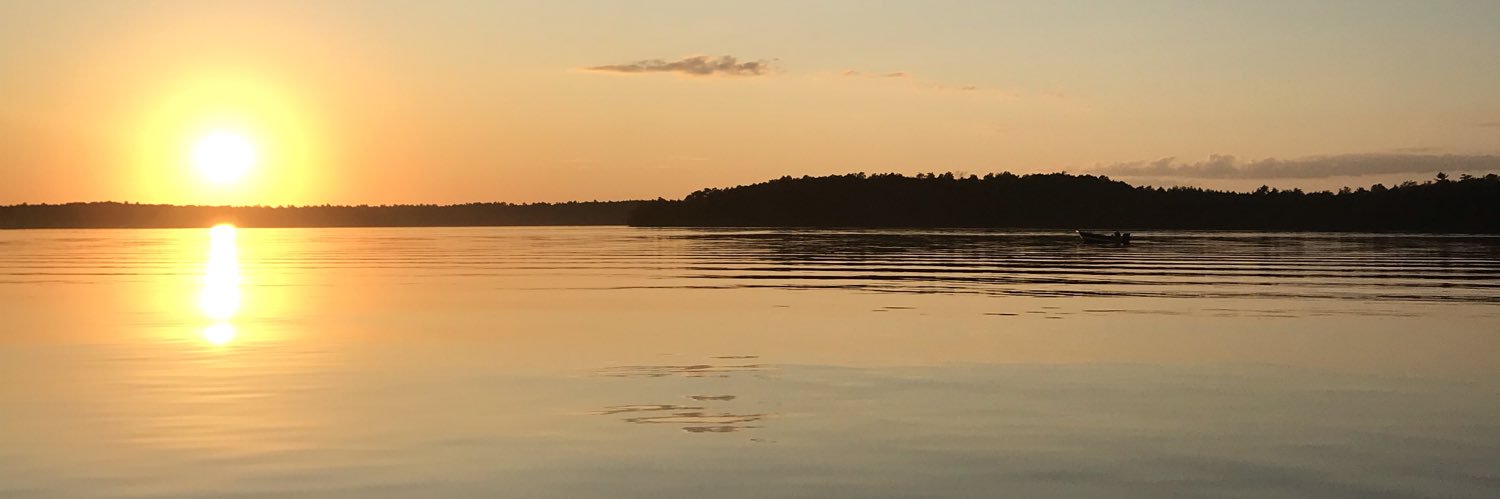 tommyd8583's profile banner image