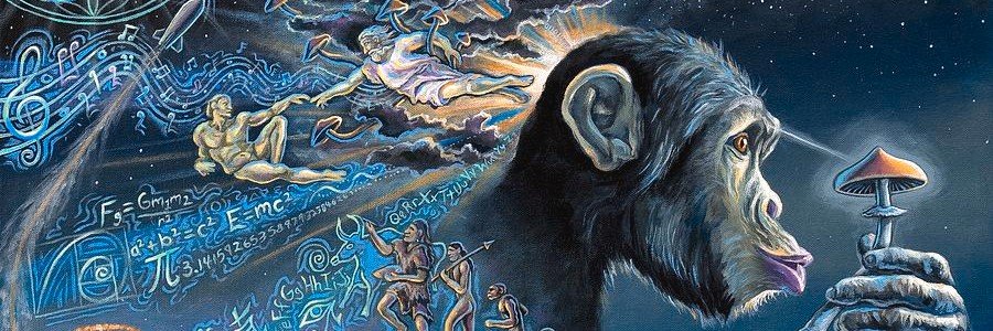 JMartindeOliva's profile banner image