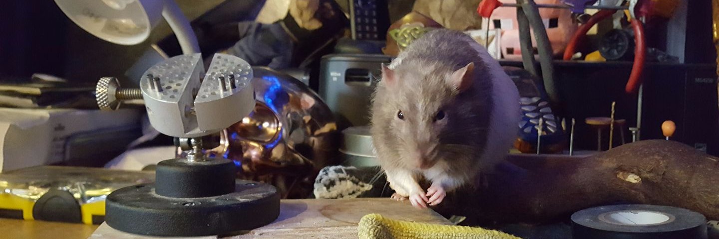 XxRATTYxX's profile banner image