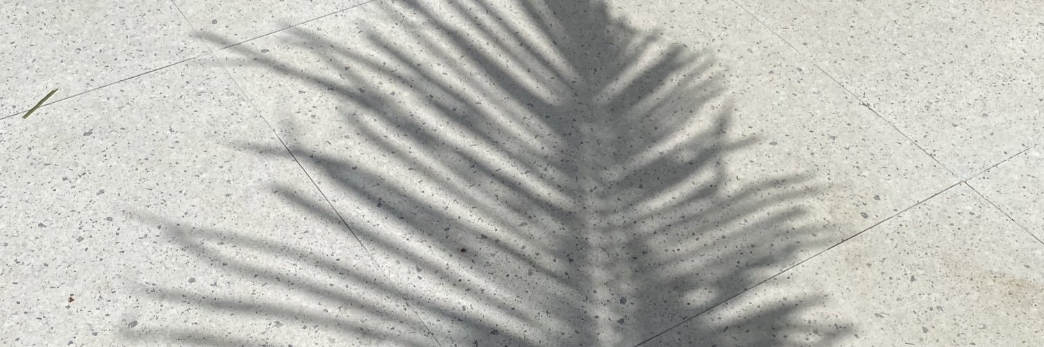 MillenaMiiranda's profile banner image
