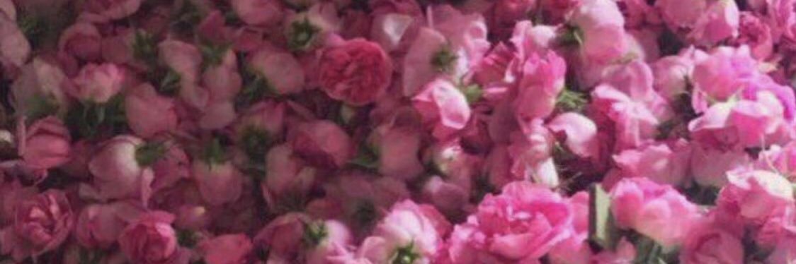 manol_17's profile banner image