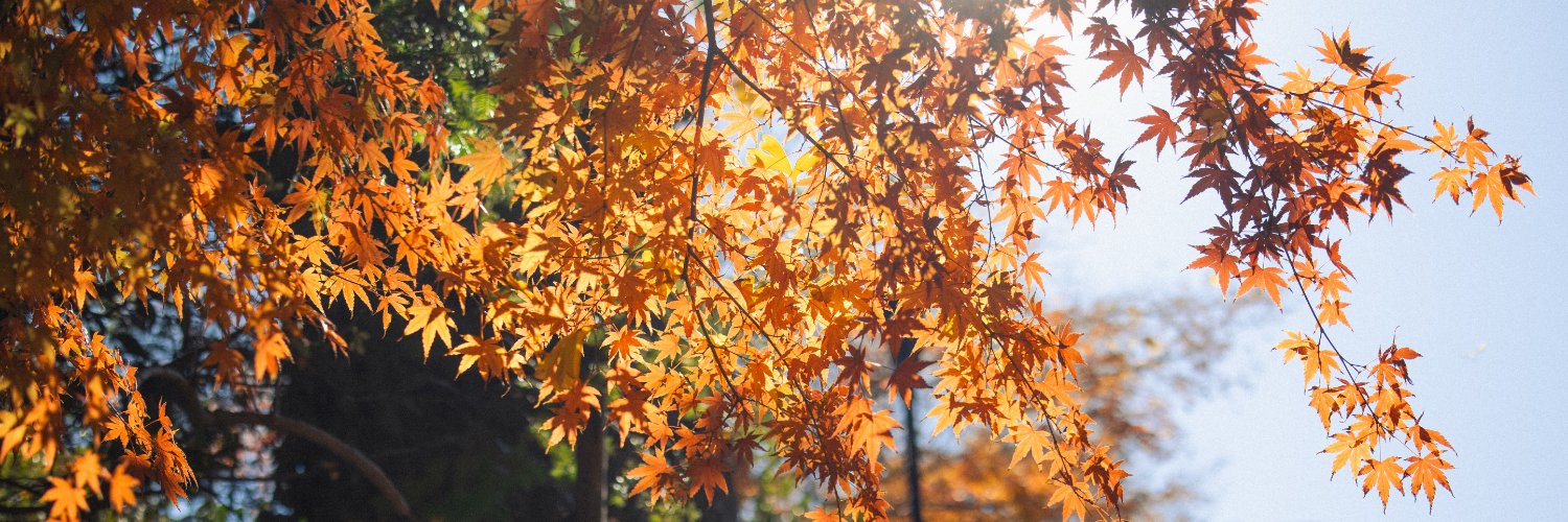 dwaejitokki's profile banner image