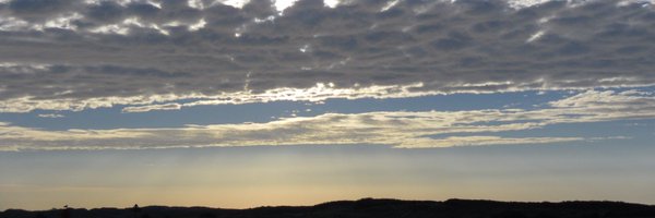 8violas Profile Banner