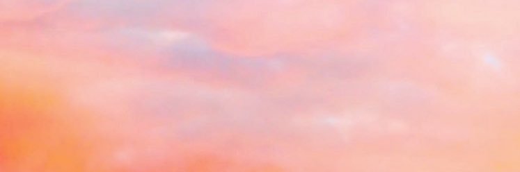 taylor_teaster's profile banner image