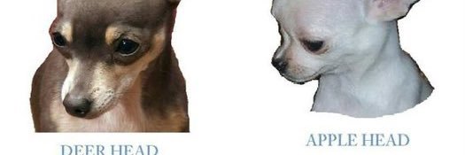 brttnyto's profile banner image
