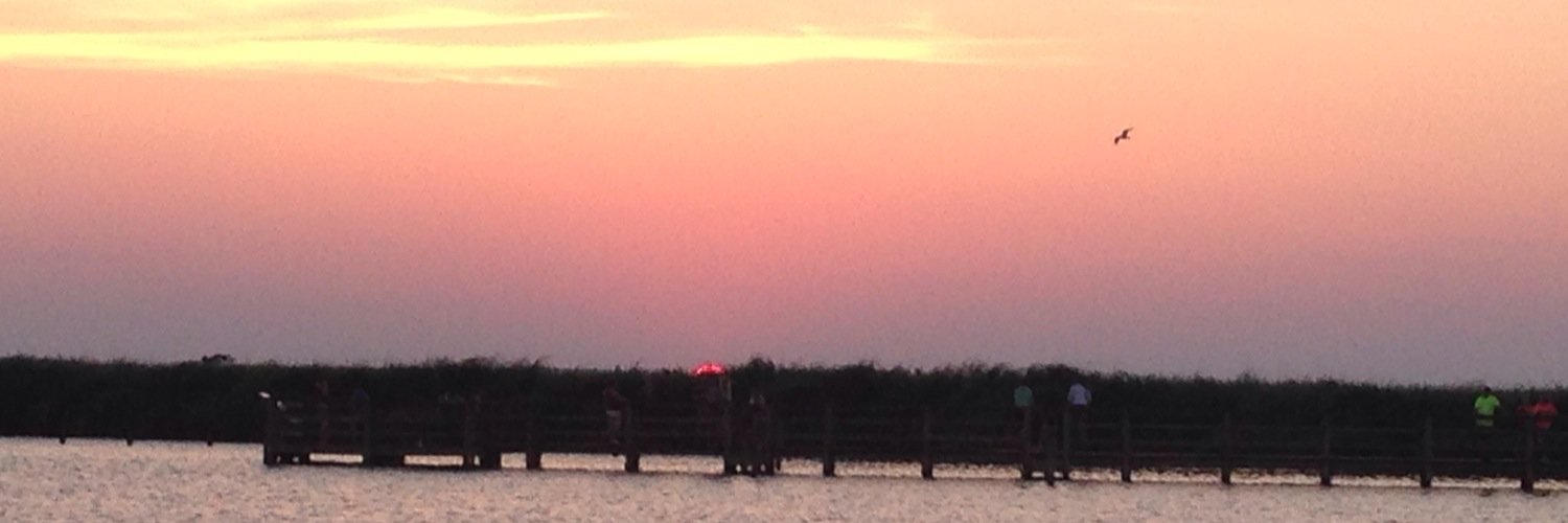 Deanna Stephan banner