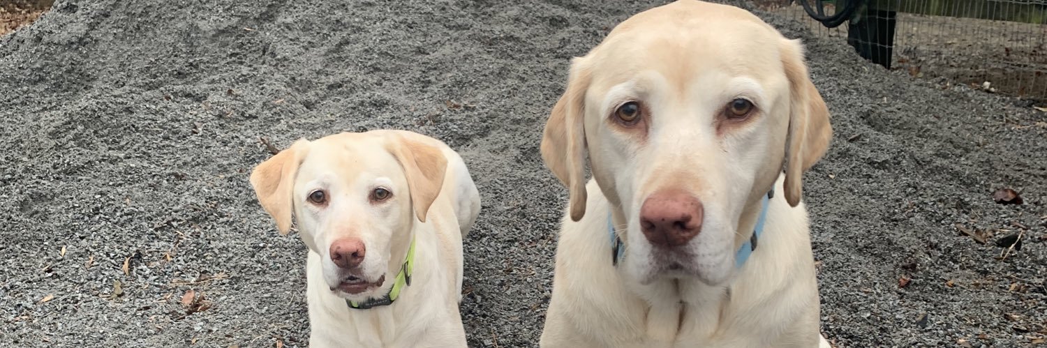 Shawn Jackson banner