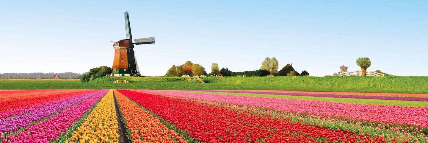 GovernmentDutch's profile banner image