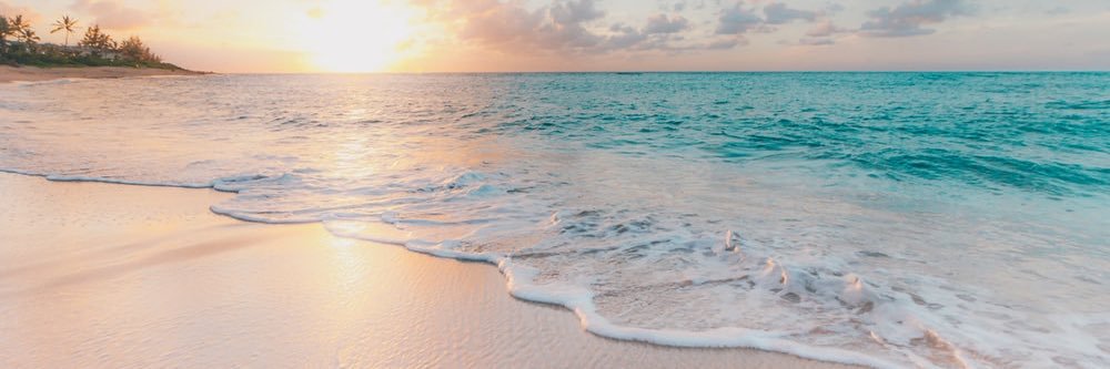 AlieaMarie06's profile banner image